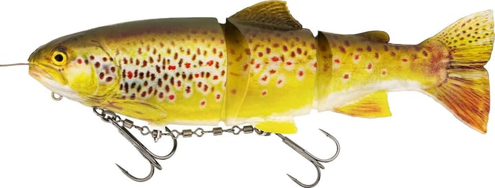 Westin Tommy The Trout Inline Westin