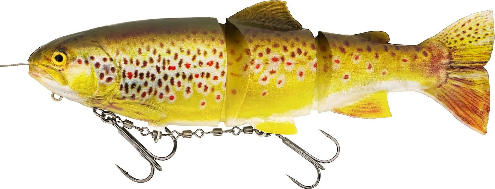 Westin Tommy The Trout Inline