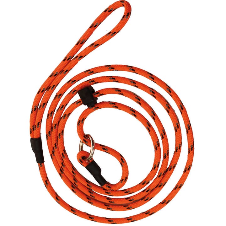 Rexa Dog Leash With Reflextors Orange Rexa