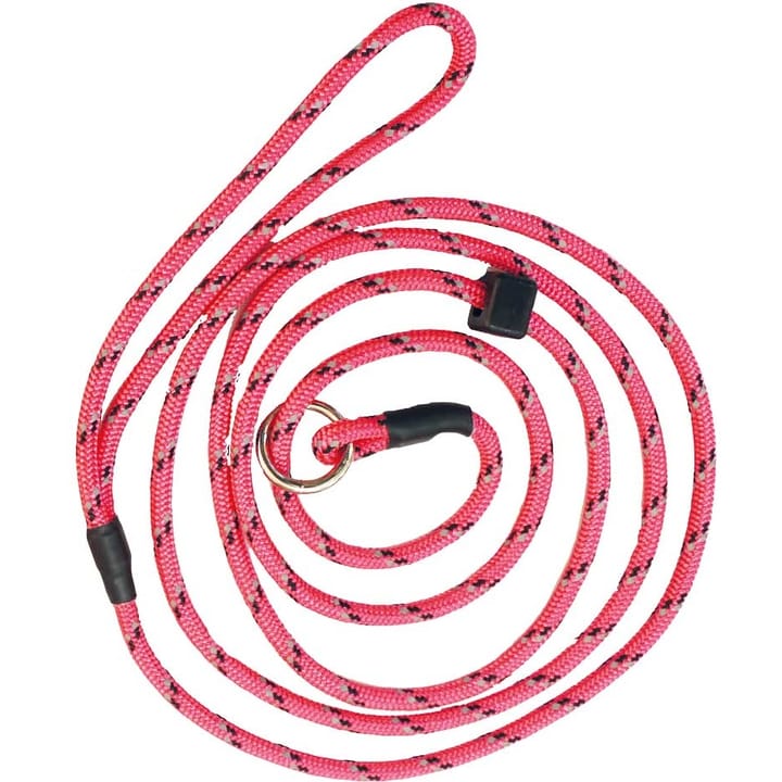 Rexa Dog Leash With Reflextors Pink Rexa