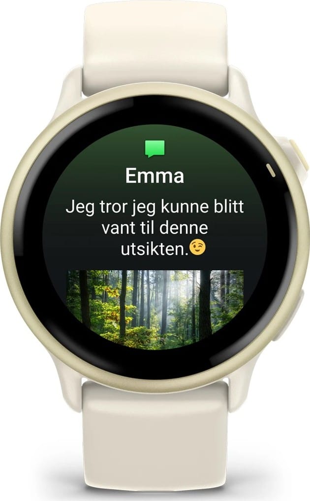 Garmin Vivoactive 6 Bone/Lunar Gold Garmin