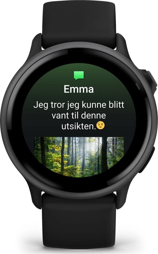 Garmin Vivoactive 6 Black/Slate Garmin