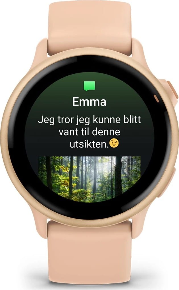 Garmin Vivoactive 6 Pink Dawn/P. Dawn Metallic Garmin