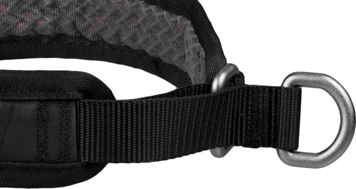 Non-stop Dogwear Rock Collar 3.0 Orange Non-stop Dogwear Non-stop Dogwear Rock Collar 3.0 Orange Non-stop Dogwear