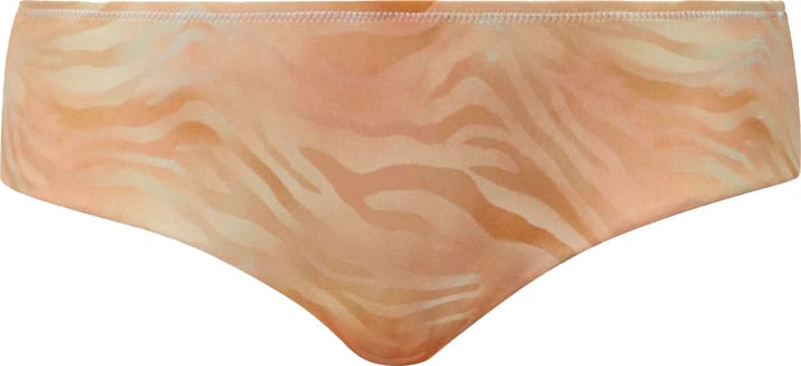 Röhnisch Women's Asrin Bikini Briefs Zebra Fade Röhnisch