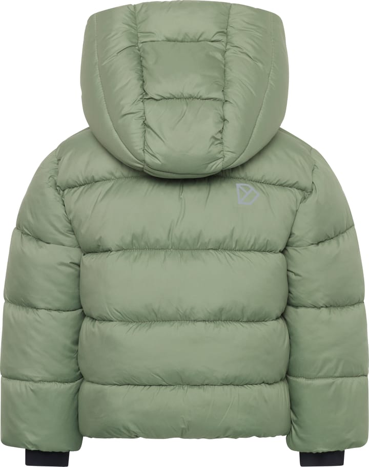 Didriksons Kids' Roxen Jacket Light Moss Didriksons