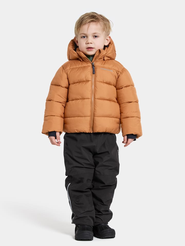 Didriksons Kids' Roxen Jacket Almond Tree Didriksons