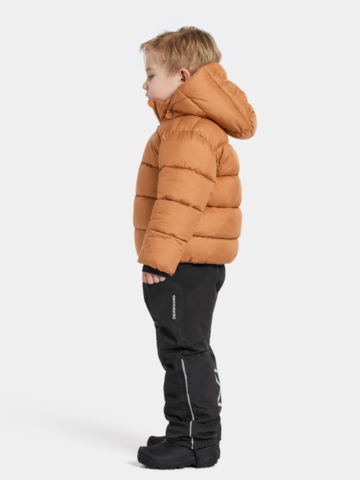 Didriksons Kids' Roxen Jacket Almond Tree Didriksons
