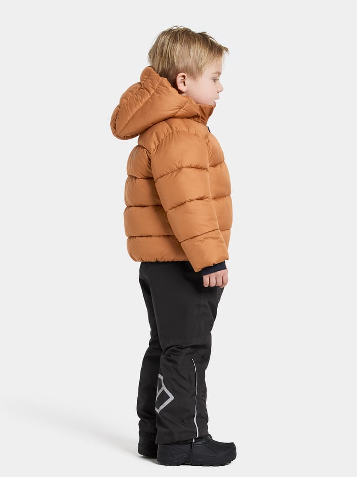 Didriksons Kids' Roxen Jacket Almond Tree Didriksons