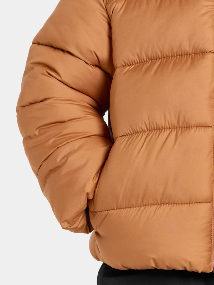 Didriksons Kids' Roxen Jacket Almond Tree Didriksons