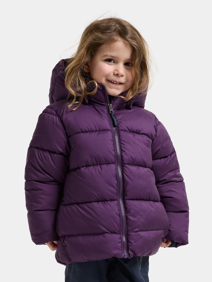 Didriksons Kids' Roxen Jacket Northen Purple Didriksons