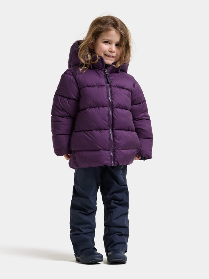 Didriksons Kids' Roxen Jacket Northen Purple Didriksons