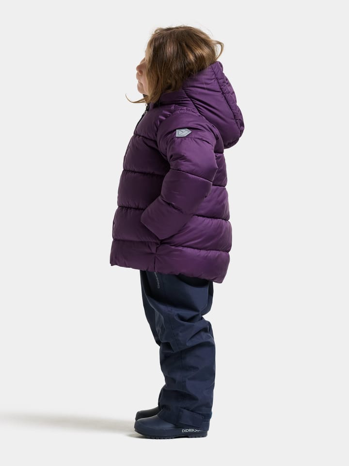Didriksons Kids' Roxen Jacket Northen Purple Didriksons