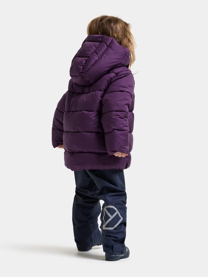 Didriksons Kids' Roxen Jacket Northen Purple Didriksons