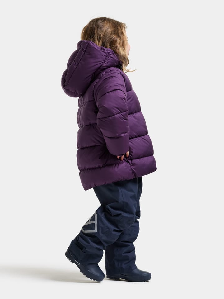 Didriksons Kids' Roxen Jacket Northen Purple Didriksons