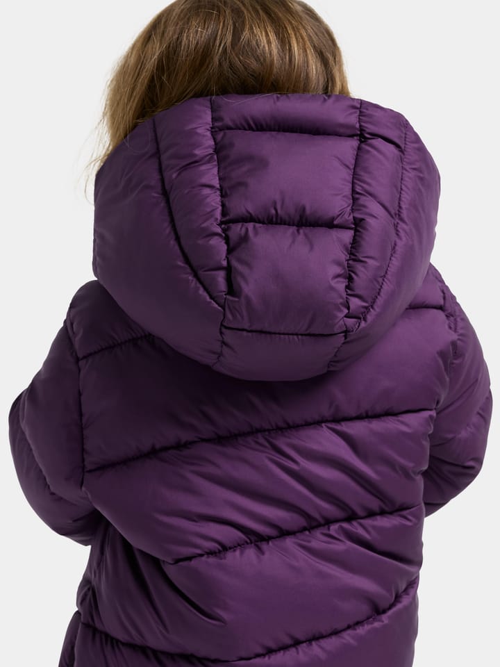 Didriksons Kids' Roxen Jacket Northen Purple Didriksons