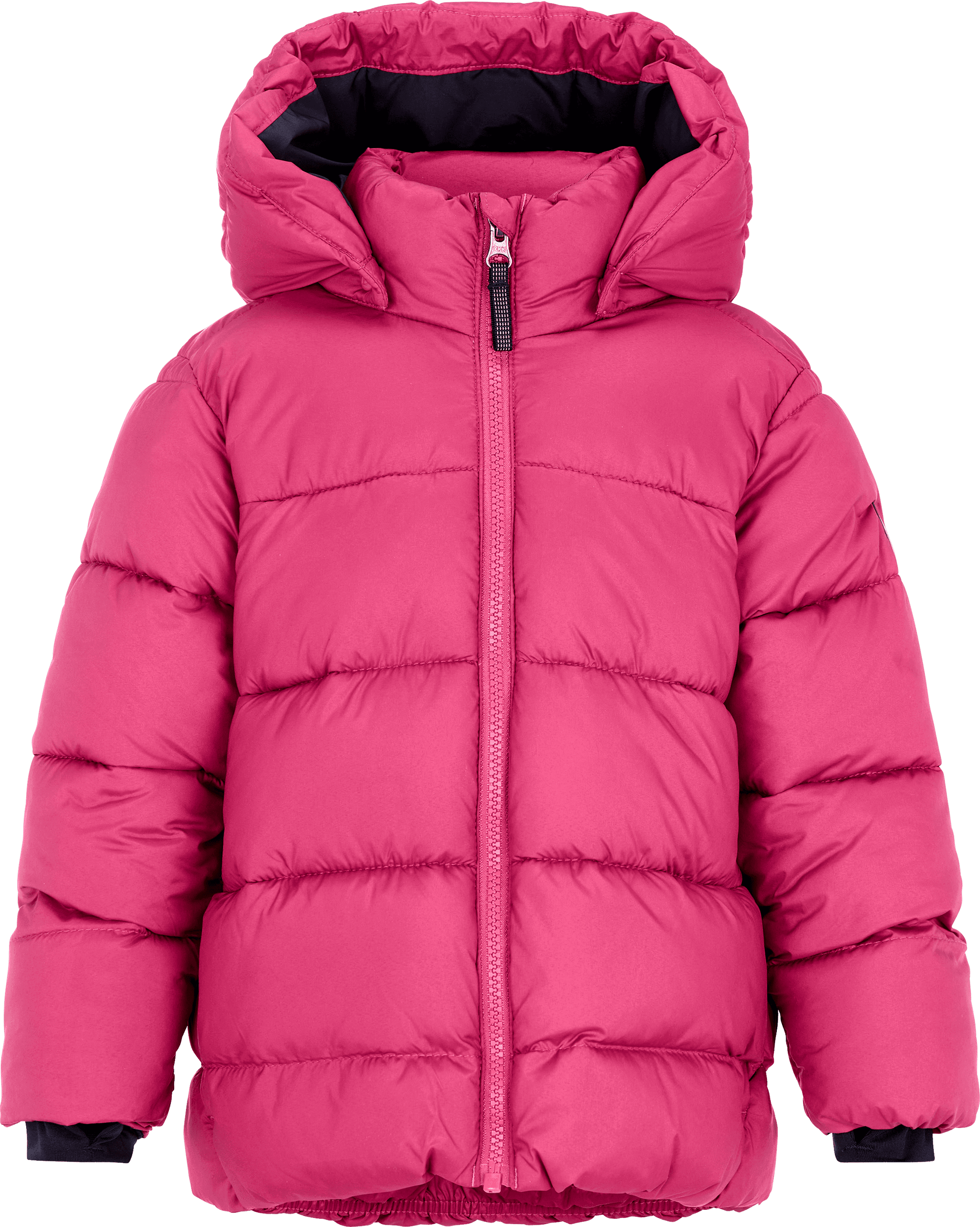 Didriksons Kids' Roxen Jacket Cactus