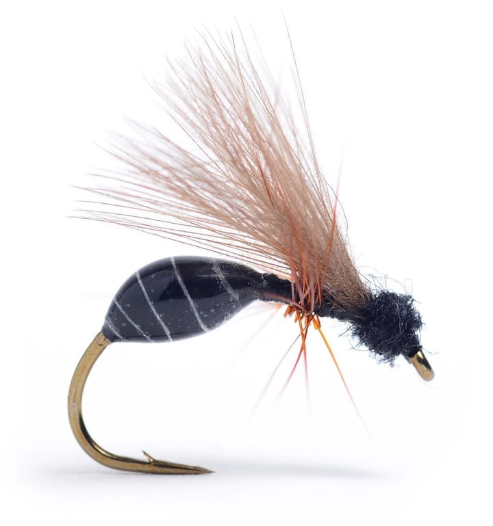 Umpqua Flies Rs Glue Ant Umpqua Flies