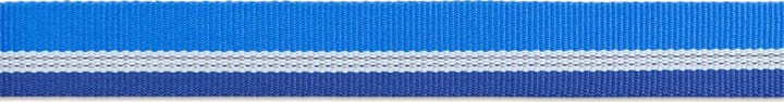 Ruffwear Chain Reaction™ Collar Blue Pool Ruffwear