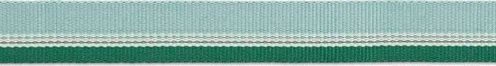 Ruffwear Chain Reaction™ Collar River Rock Green Ruffwear