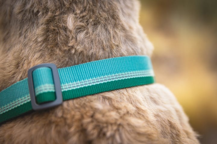 Ruffwear Chain Reaction™ Collar River Rock Green Ruffwear
