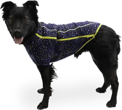 Ruffwear Climate Changer™ Dog Fleece Galaxy Ruffwear