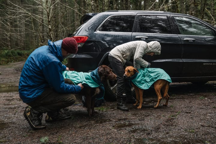 Dirtbag™ Dog Towel Aurora Teal Ruffwear