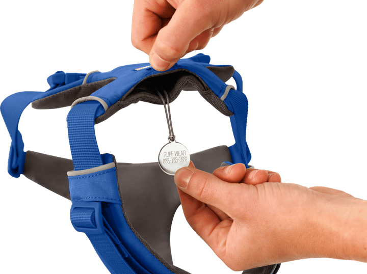 Ruffwear Front Range® Harness Blue Pool Ruffwear