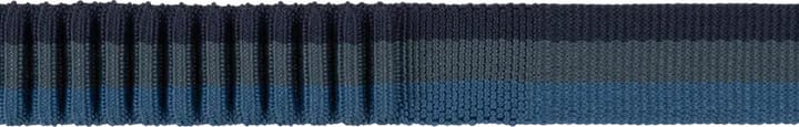 Ruffwear Roamer Leash Orion Blue Ruffwear