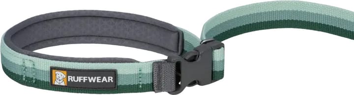 Ruffwear Roamer Leash River Rock Green Ruffwear