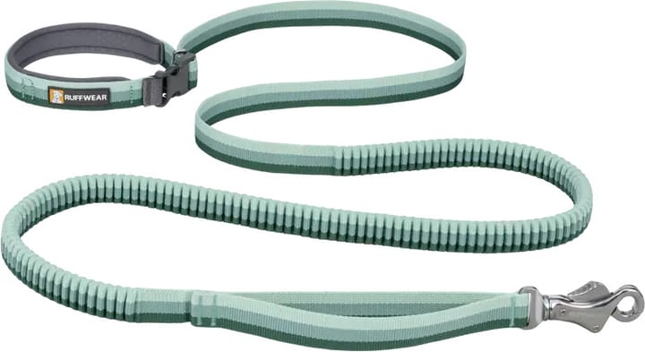 Roamer Leash River Rock Green Ruffwear