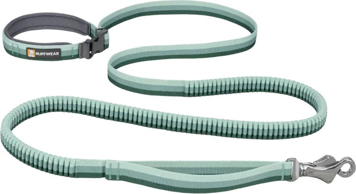 Ruffwear Roamer Leash River Rock Green Ruffwear