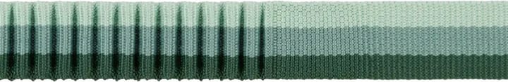 Ruffwear Roamer Leash River Rock Green Ruffwear