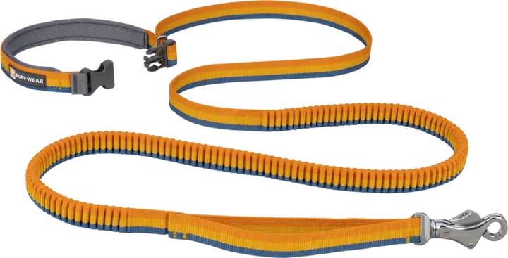 Roamer Leash Yellow Snow Ruffwear