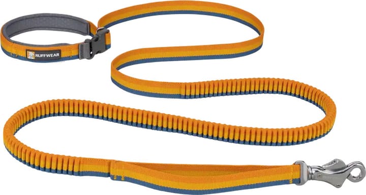 Roamer Leash Yellow Snow Ruffwear