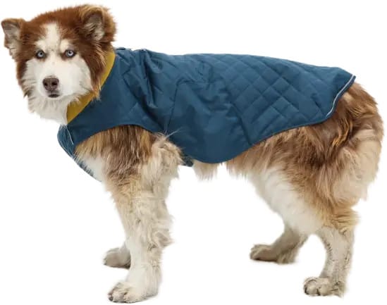 Stumptown Jacket Orion Blue Ruffwear