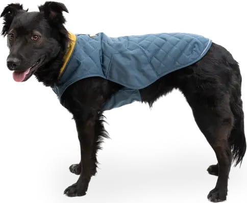 Ruffwear Stumptown Jacket Orion Blue Ruffwear