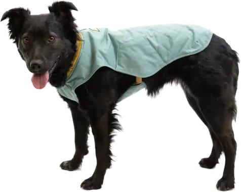 Stumptown Jacket River Rock Green Ruffwear