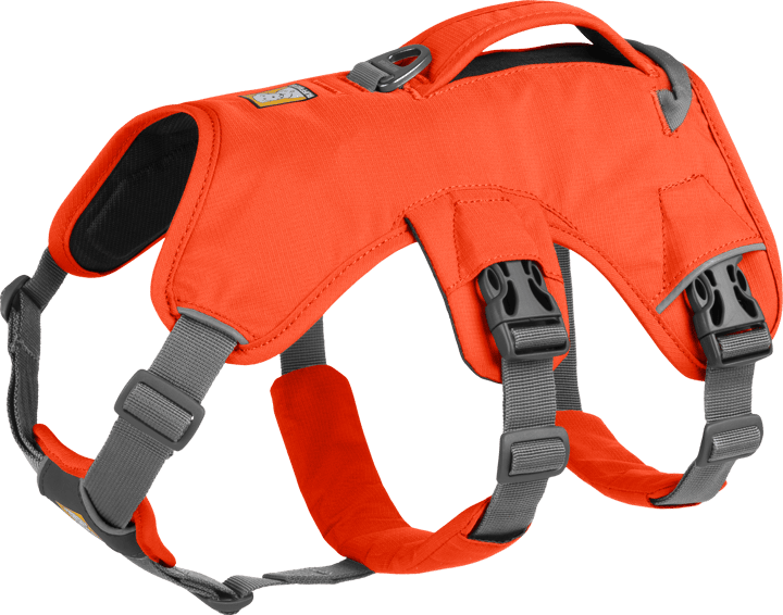 Ruffwear Web Master™ Harness Blaze Orange Ruffwear