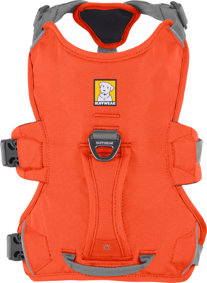 Ruffwear Web Master™ Harness Blaze Orange Ruffwear