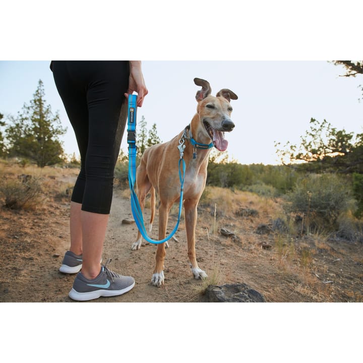 Ruffwear Web Reaction Collar  Blue Dusk Ruffwear