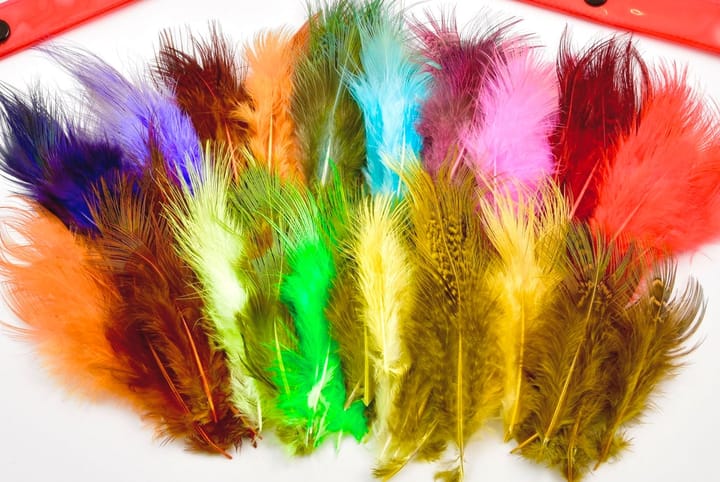 Frodin Flies Pheasant Rump Feather Pack 20 Farger, 100 Fjær Frodin Flies