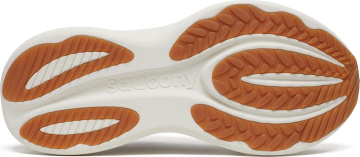 Saucony Women's Triumph 24 Torte/touch Saucony