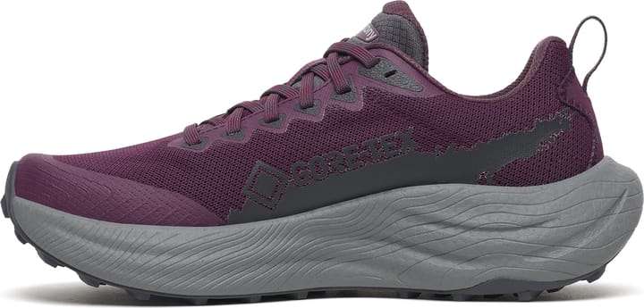 Saucony Women's Ride Tr3 GORE-TEX Eggplant/ebony Saucony