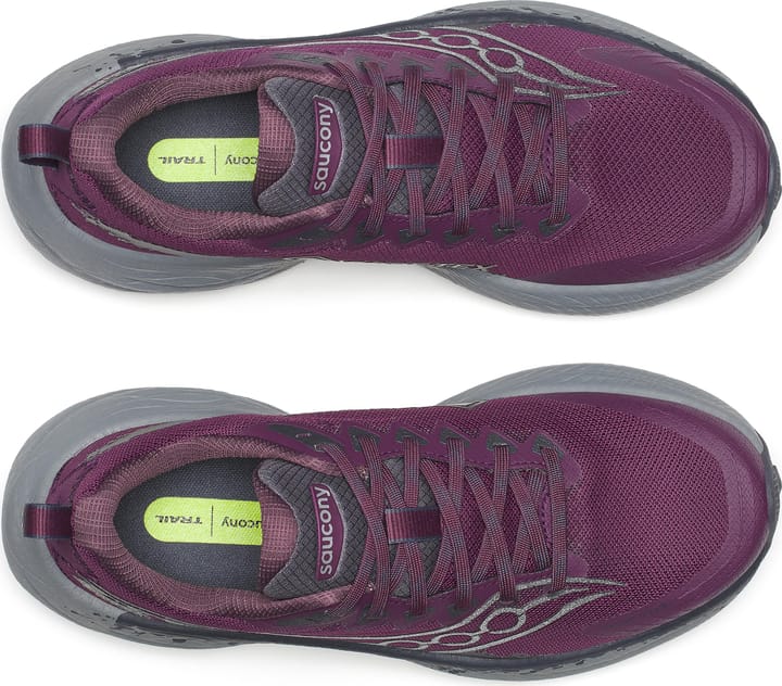 Saucony Women's Ride Tr3 GORE-TEX Eggplant/ebony Saucony