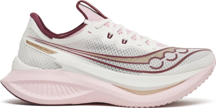 Saucony Women's Endorphin Pro 5 Ivory/silk Saucony