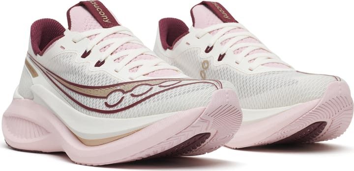 Saucony Women's Endorphin Pro 5 Ivory/silk Saucony