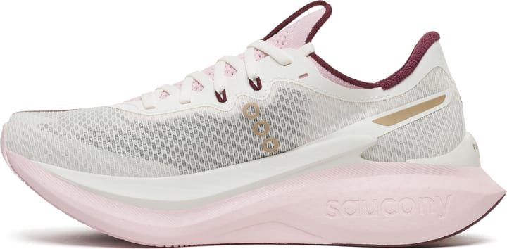 Saucony Women's Endorphin Pro 5 Ivory/silk Saucony