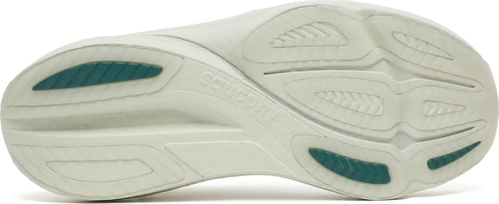 Saucony Women's Endorphin Azura Cast Saucony