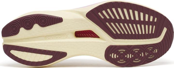 Saucony Women's Endorphin Speed 5 Ivory/maroon Saucony